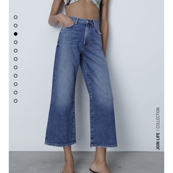 Zara | Jeans | Zw Premium The Pax Culotte Jean | Poshmark